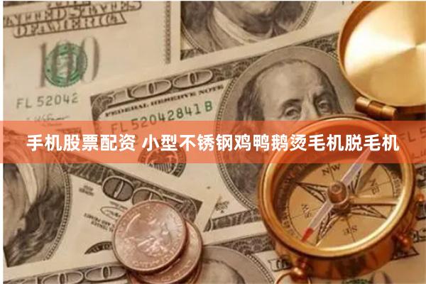 手机股票配资 小型不锈钢鸡鸭鹅烫毛机脱毛机