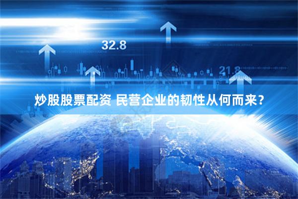 炒股股票配资 民营企业的韧性从何而来？