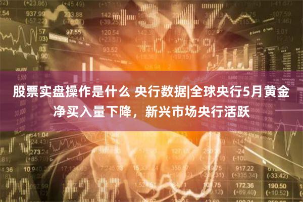 股票实盘操作是什么 央行数据|全球央行5月黄金净买入量下降，新兴市场央行活跃