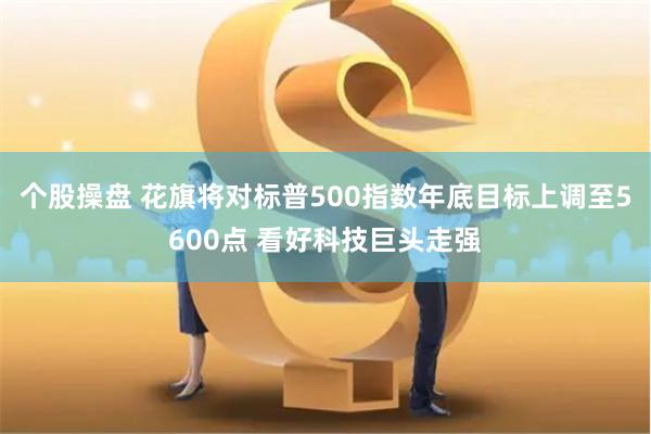 个股操盘 花旗将对标普500指数年底目标上调至5600点 看好科技巨头走强